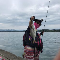 エギングタックルをブチ曲げて青物ゲット