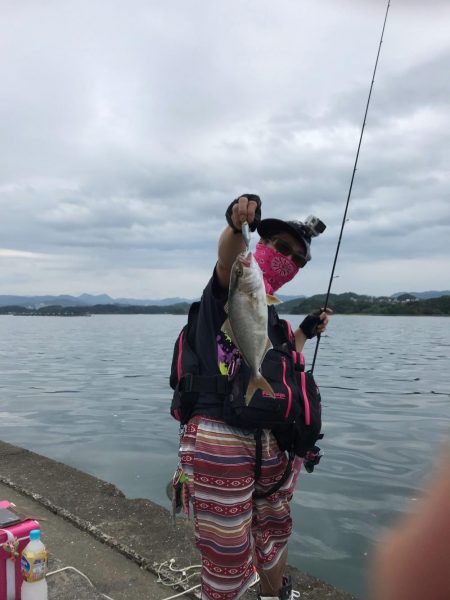 エギングタックルをブチ曲げて青物ゲット