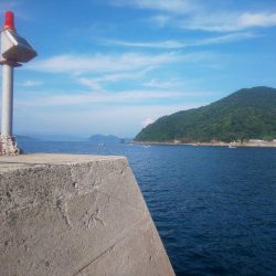 サバフグの果てに