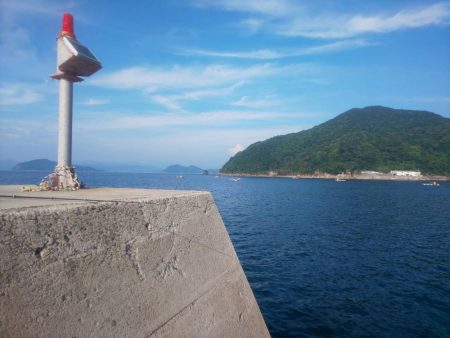 サバフグの果てに