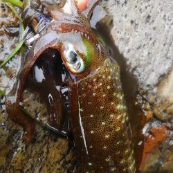 やっと、100g アップしたのに？