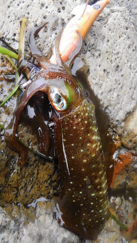 やっと、100g アップしたのに？