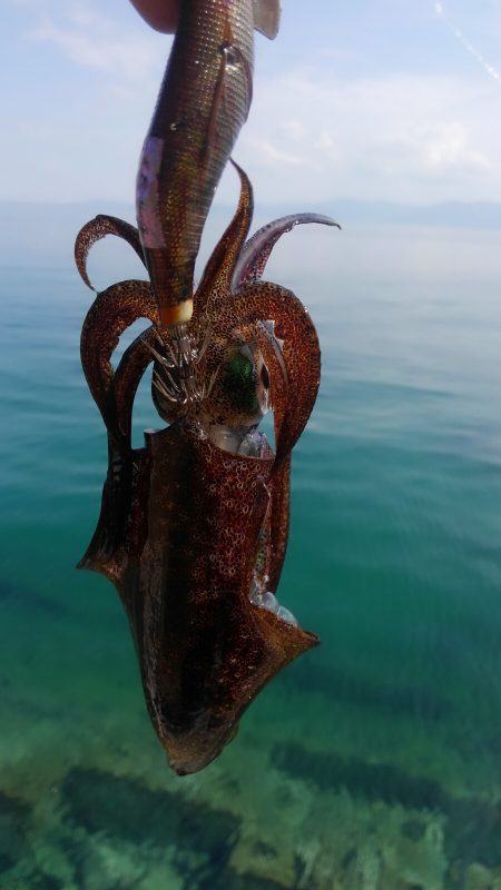 サイズは？数は？