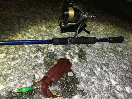 瀬戸内の島ケンサキエギング(2019-3)