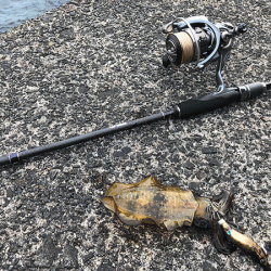 日本海エギング(2019-1)