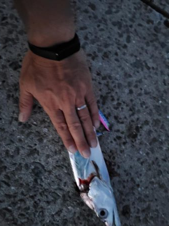 スーパーライトショアジギングで!