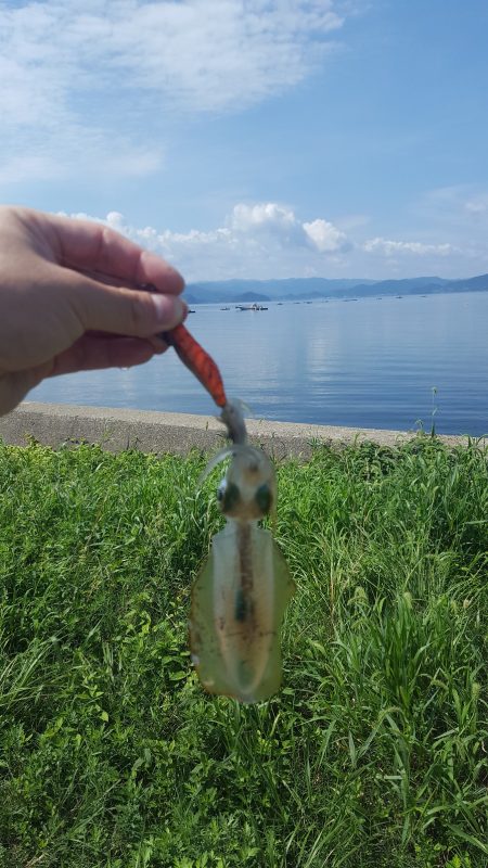 秋イカエギング調査