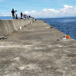 ドラゴンゲット！