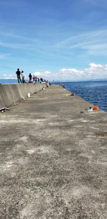 ドラゴンゲット！