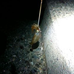 誰もいない場所