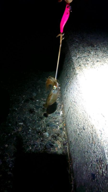 誰もいない場所