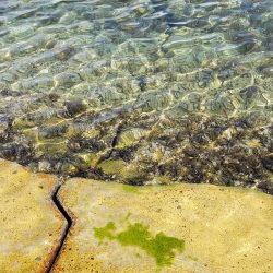 SUPフィッシング