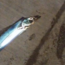 食い逃げダッシュ