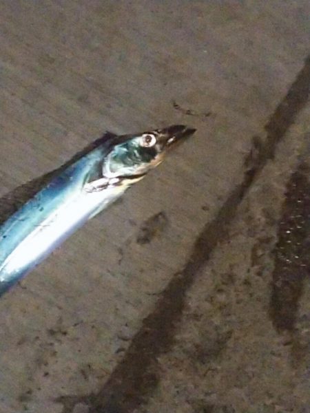 食い逃げダッシュ