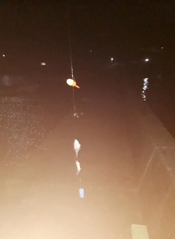 海釣り！途中から雨に打たれて。。。。