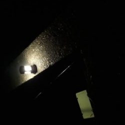 夜釣りでアジ!!!