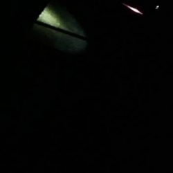 1ｍオーバーのハモ３匹！！