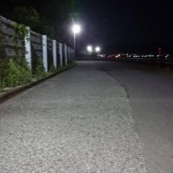 アジのサイズもよくなってきてる