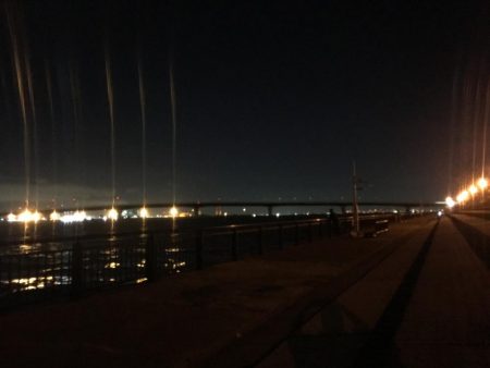 ドラゴンタチウオ