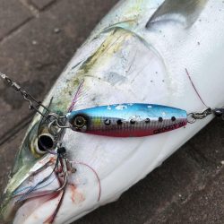 9月27日神戸ランガン