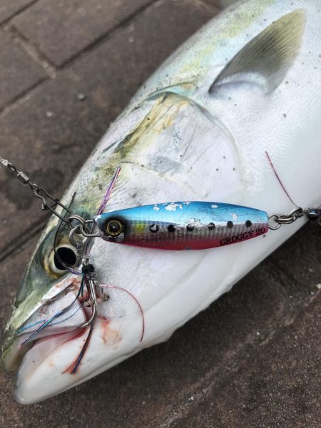 9月27日神戸ランガン