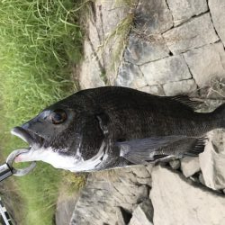 イチノ兄弟、釣果!