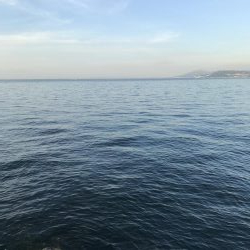 9月9日やっとハマチ