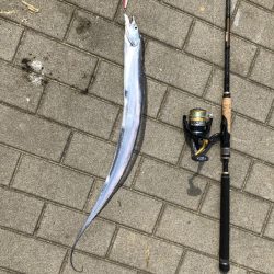 【シーサイドコスモ】好調ライトショアジギング