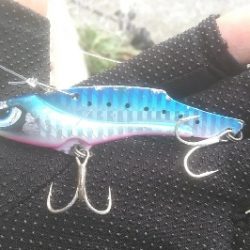 週末朝活　依然堅調です