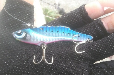 週末朝活　依然堅調です