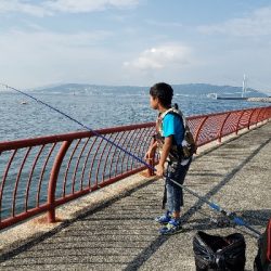 いろんな魚が釣れました❗