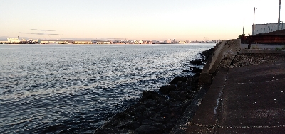 久しぶりのクロダイ?