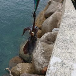 台風前の爆風釣行