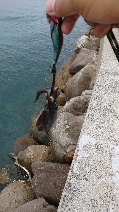 台風前の爆風釣行