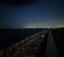 F4 が普通に獲れました・・・