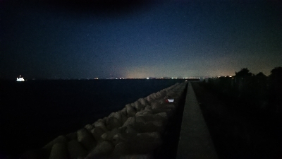 F4 が普通に獲れました・・・