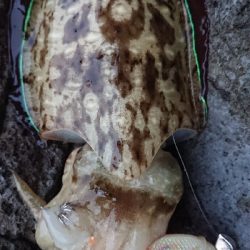 天気が荒れる前に