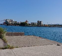 キス釣り、五目釣り