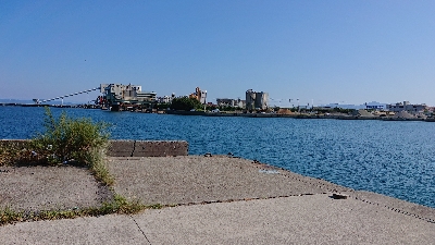 キス釣り、五目釣り