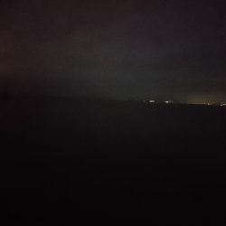 アコウ狙いが…