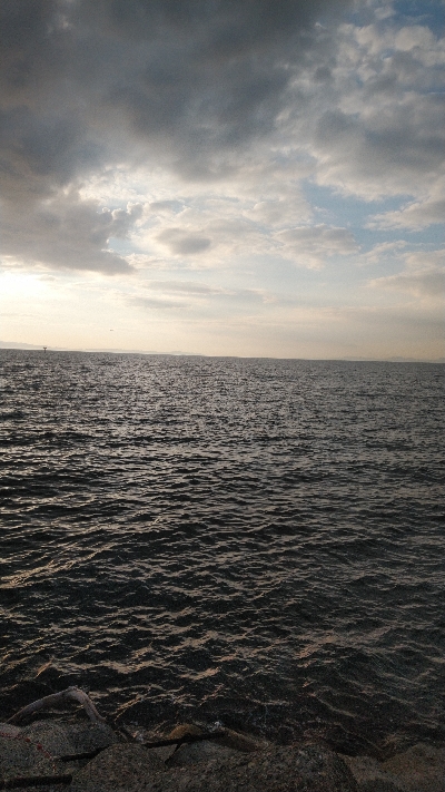 タチウオキタ━(゚∀゚)━!!!ツバスに続きサゴシも!