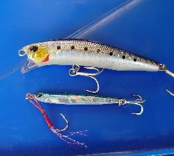 エギングの予定が