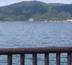 エギングとショアジギング