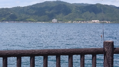 エギングとショアジギング