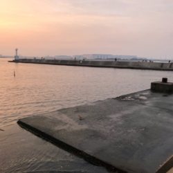 アジング朝練！