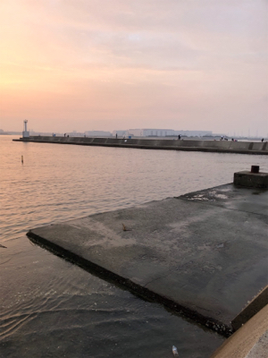 アジング朝練！