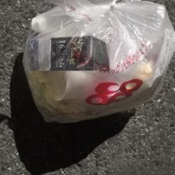 アジング練習12