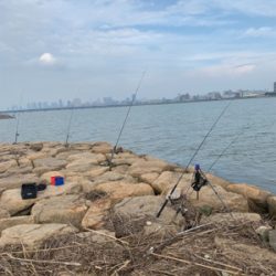 夕方のぶっ込み釣り