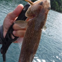 奥能登カヤックパート2