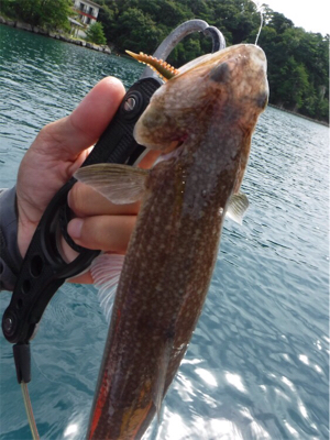 奥能登カヤックパート2